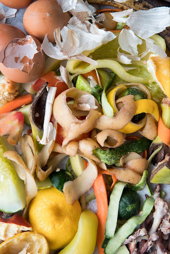 food waste